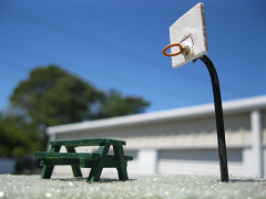 Picnic table & Basketball goal